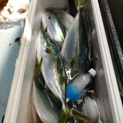 第二八坂丸 釣果