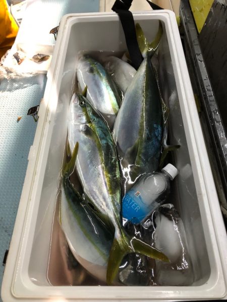 第二八坂丸 釣果