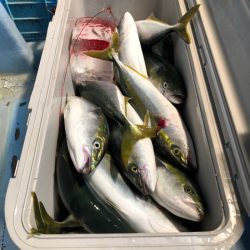 第二八坂丸 釣果