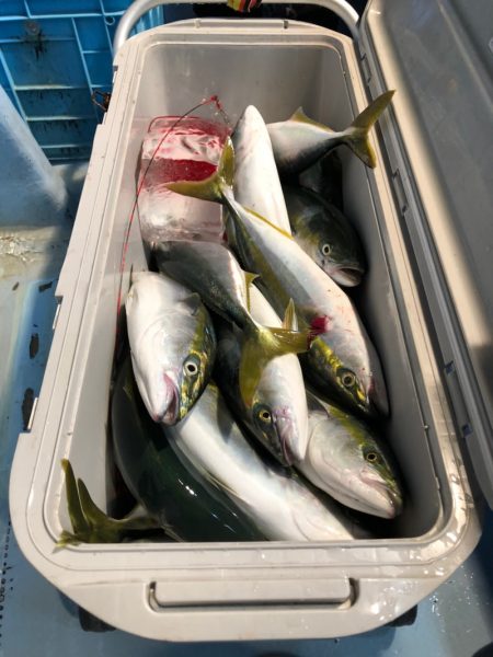 第二八坂丸 釣果