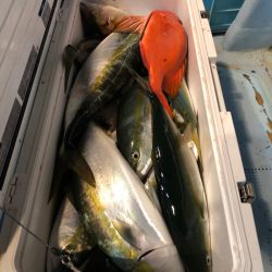 第二八坂丸 釣果