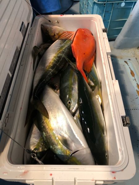 第二八坂丸 釣果