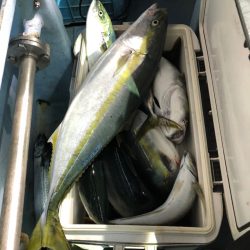 第二八坂丸 釣果