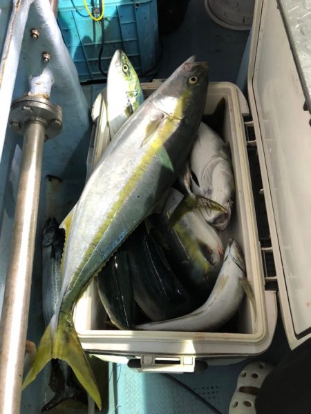 第二八坂丸 釣果