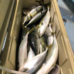 第二八坂丸 釣果