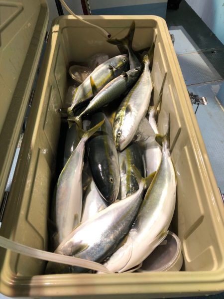 第二八坂丸 釣果