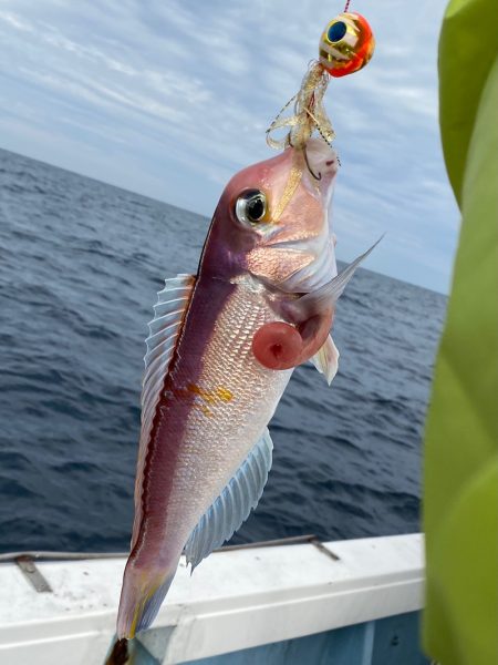 あみや渡船 JIGBOY 釣果
