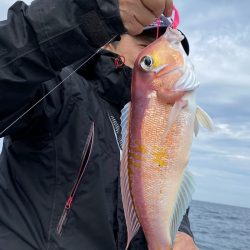 あみや渡船 JIGBOY 釣果