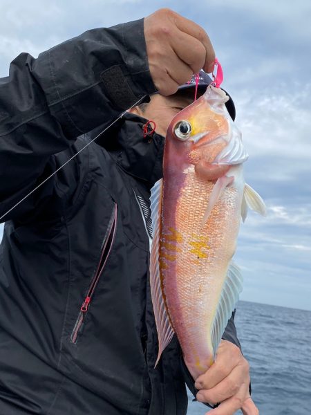 あみや渡船 JIGBOY 釣果