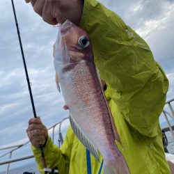 あみや渡船 JIGBOY 釣果