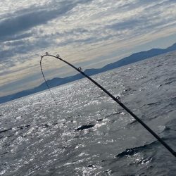 あみや渡船 JIGBOY 釣果