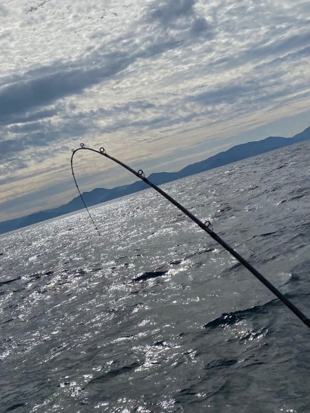 あみや渡船 JIGBOY 釣果