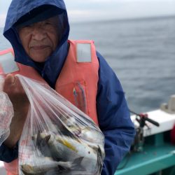 丸万釣船 釣果