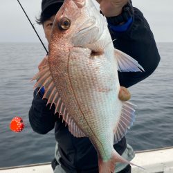あみや渡船 JIGBOY 釣果