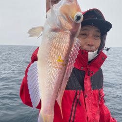 あみや渡船 JIGBOY 釣果