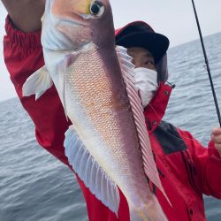 あみや渡船 JIGBOY 釣果