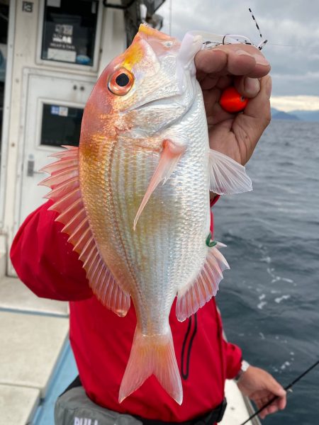 あみや渡船 JIGBOY 釣果