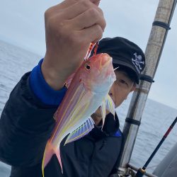 あみや渡船 JIGBOY 釣果