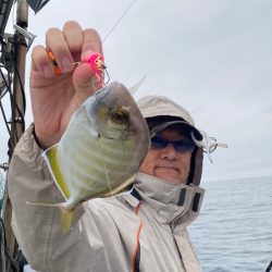 あみや渡船 JIGBOY 釣果