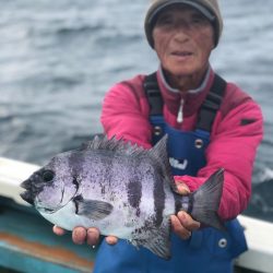 丸万釣船 釣果