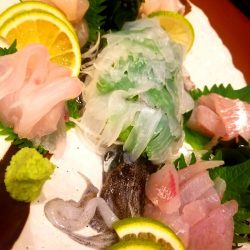 龍神丸(鹿児島) 釣果