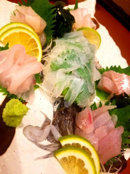 龍神丸(鹿児島) 釣果