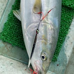 Monster Rush! 釣果