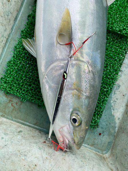 Monster Rush! 釣果