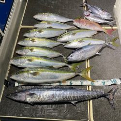 Monster Rush! 釣果