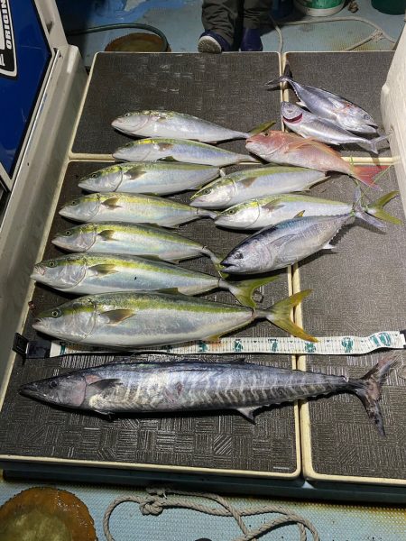 Monster Rush! 釣果