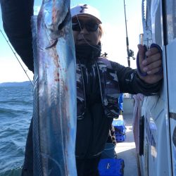 フィッシング　キッタカ 釣果