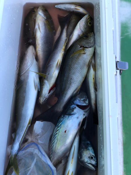丸万釣船 釣果