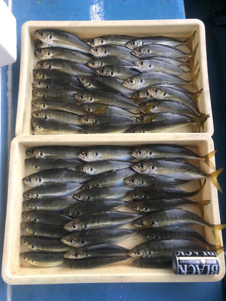 ヤザワ渡船 釣果