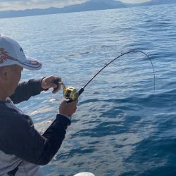 あみや渡船 JIGBOY 釣果