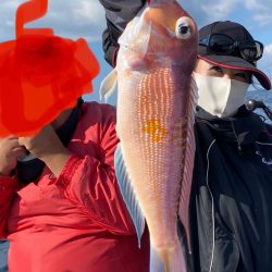 あみや渡船 JIGBOY 釣果