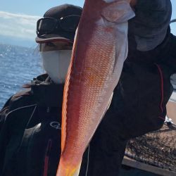 あみや渡船 JIGBOY 釣果