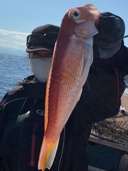 あみや渡船 JIGBOY 釣果