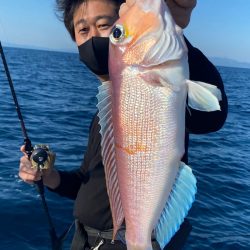 あみや渡船 JIGBOY 釣果