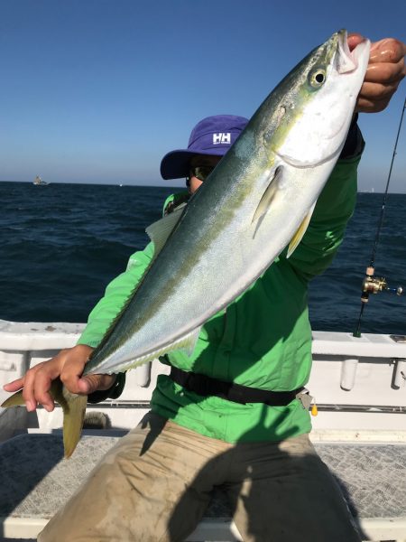 ランスルー 釣果