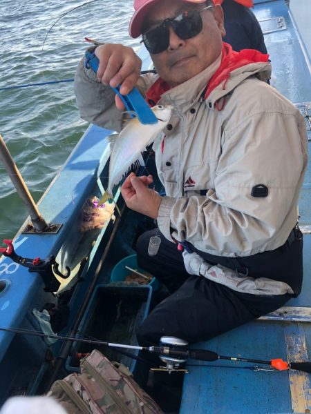 ヤザワ渡船 釣果