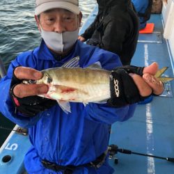 ヤザワ渡船 釣果