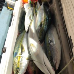 第二八坂丸 釣果