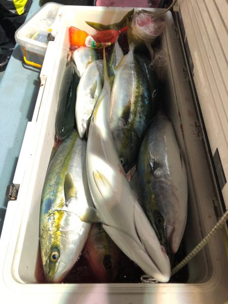 第二八坂丸 釣果