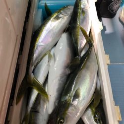 第二八坂丸 釣果