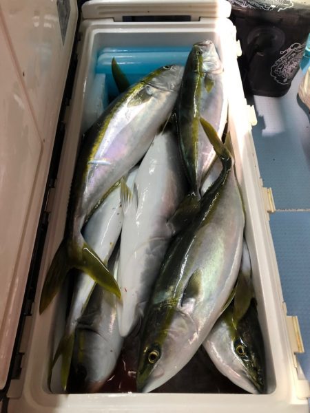 第二八坂丸 釣果