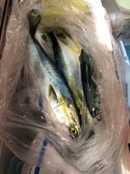 第二八坂丸 釣果