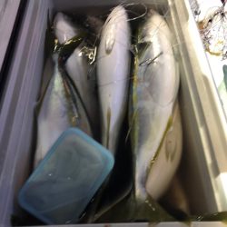 第二八坂丸 釣果