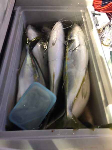 第二八坂丸 釣果