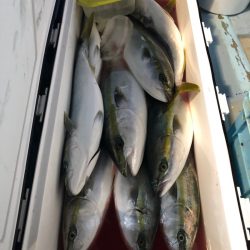 第二八坂丸 釣果