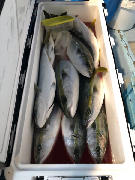 第二八坂丸 釣果